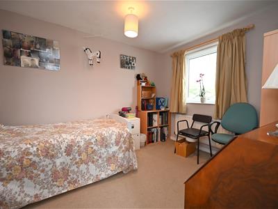Picture 17